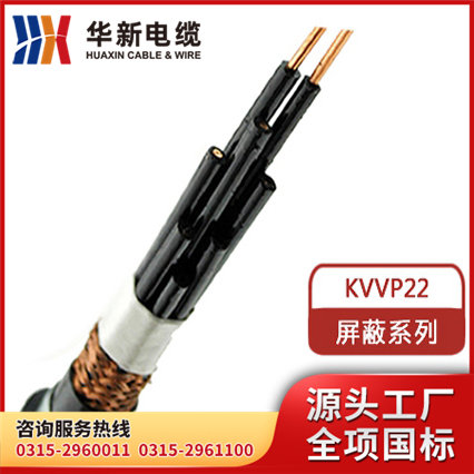 KVVP22 钢带铠装电缆